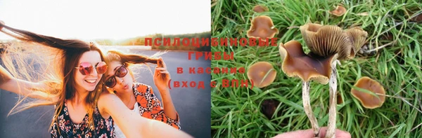 mdpv Кинешма
